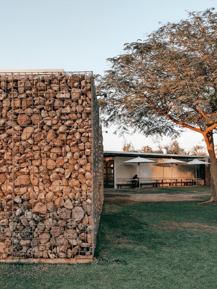 A stone wall structure and tree in a sunny park, captured in Dubai.